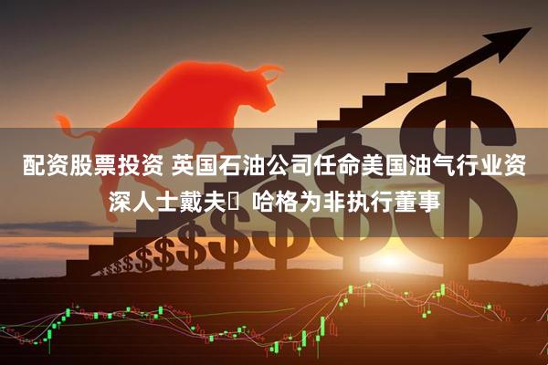 配資股票投資 英國石油公司任命美國油氣行業(yè)資深人士戴夫?哈格為非執(zhí)行董事
